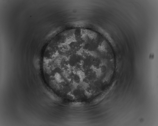 X0000101140161200807181303