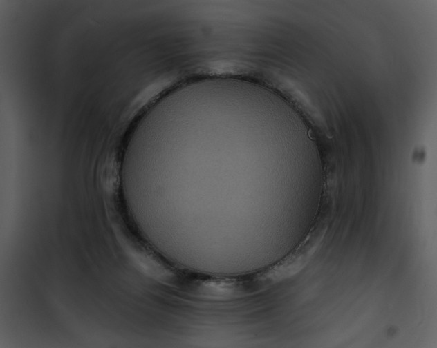 X0000101140164200807181303