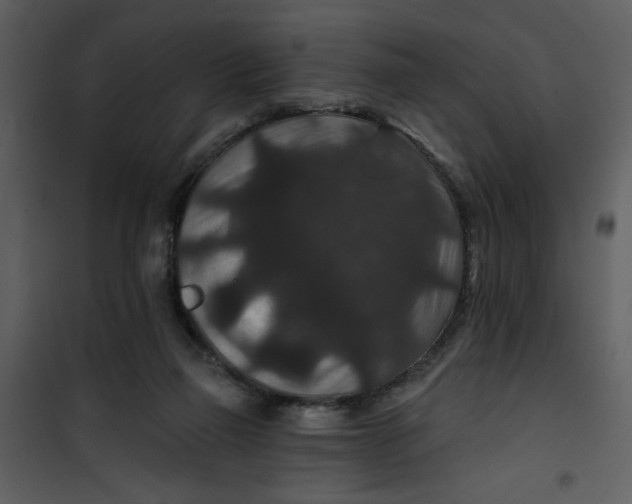 X0000101140165200807181303