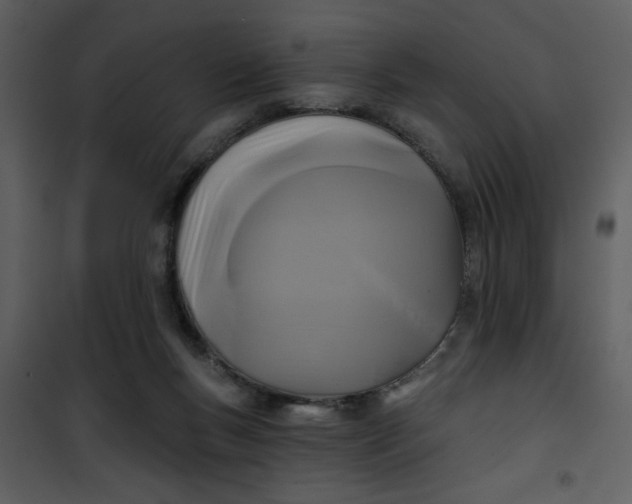 X0000101140167200807181303