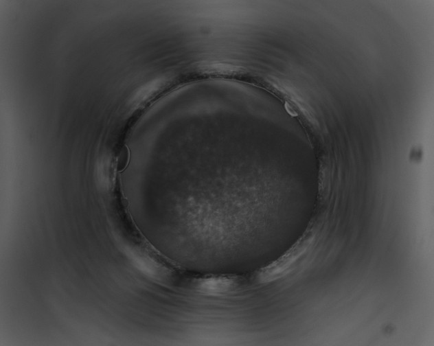 X0000101140168200807181303