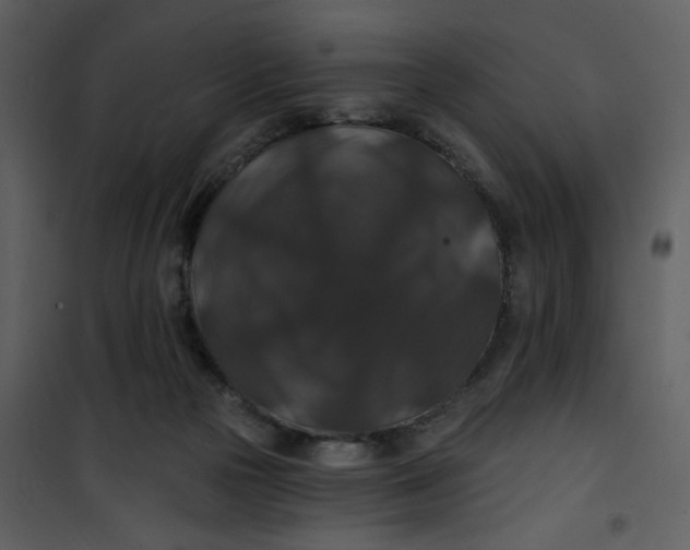 X0000101140169200807181303