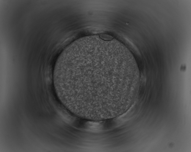 X0000101140170200807181303