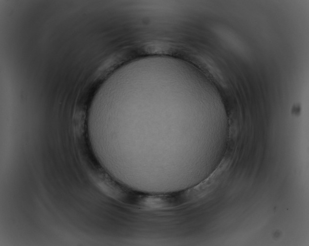 X0000101140171200807181303