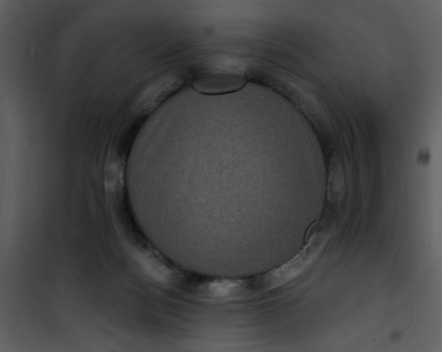 X0000101140172200807181303