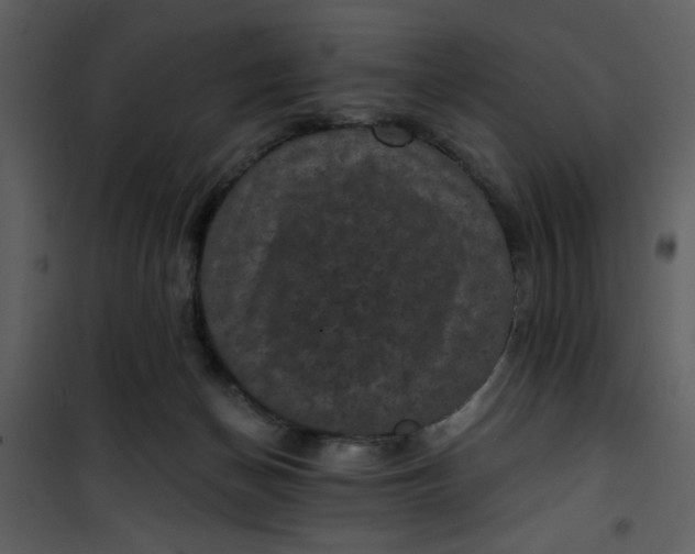 X0000101140174200807181303