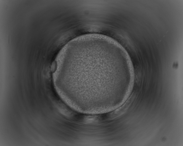 X0000101140175200807181303