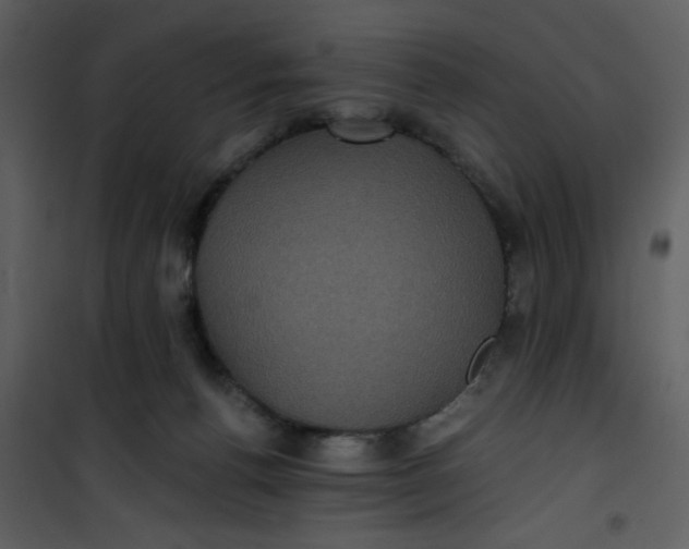 X0000101140176200807181303