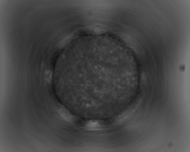 X0000101140177200807181303