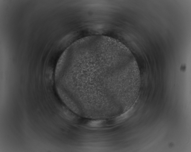 X0000101140178200807181303