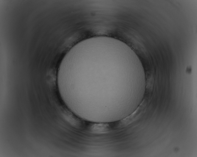 X0000101140179200807181303