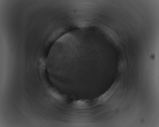 X0000101140180200807181303