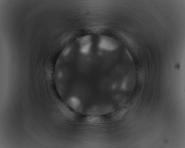 X0000101140181200807181303