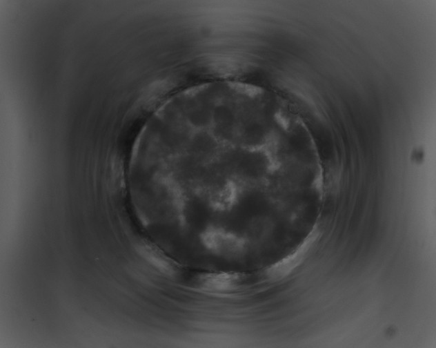 X0000101140182200807181303