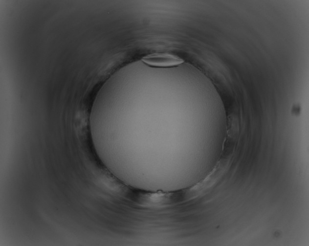 X0000101140184200807181303