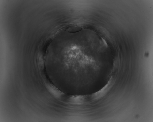 X0000101140186200807181303