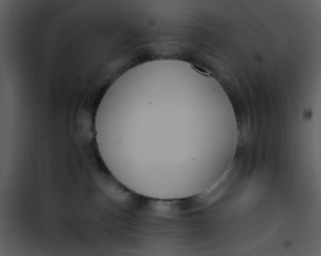 X0000101140187200807181303