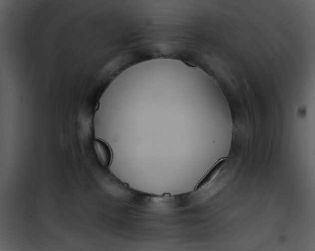 X0000101140188200807181303