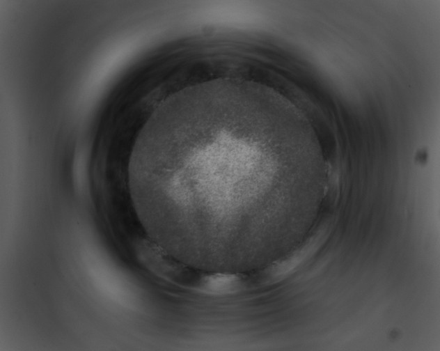 X0000101140189200807181303