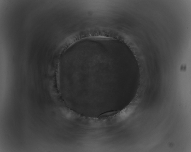 X0000101140192200807181303