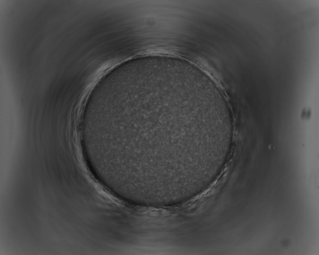 X0000101140193200807181303