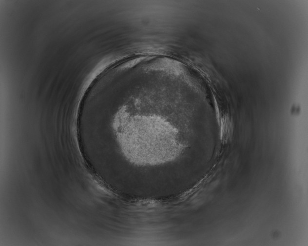 X0000101140195200807181303