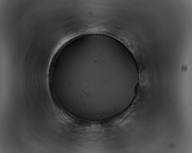 X0000101140196200807181303