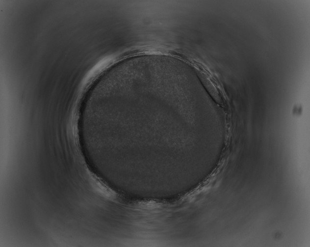 X0000101140197200807181303