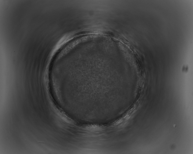 X0000101140198200807181303