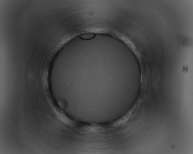 X0000101140201200807181303