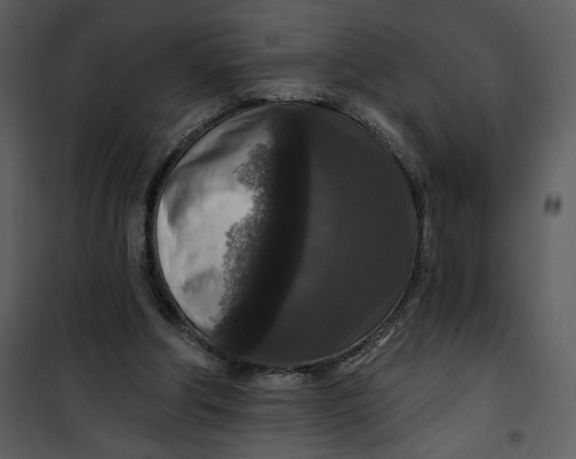 X0000101140202200807181303