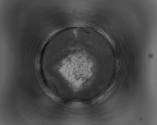 X0000101140203200807181303