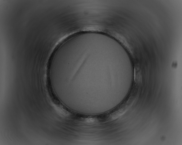 X0000101140204200807181303