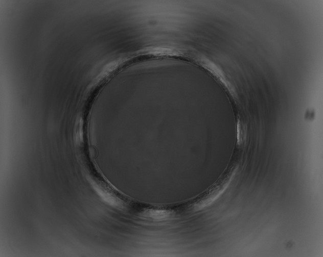 X0000101140205200807181303