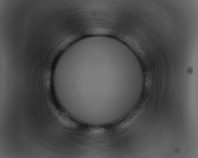 X0000101140206200807181303