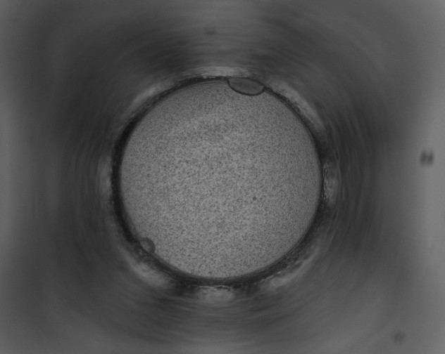 X0000101140207200807181303