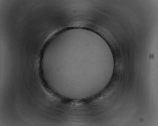 X0000101140208200807181302