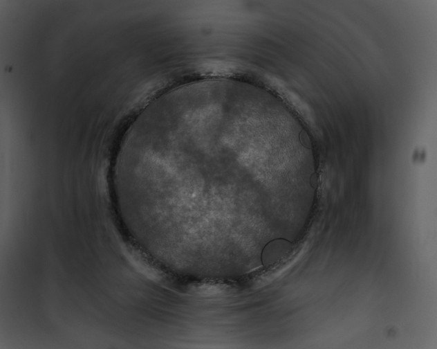 X0000101140209200807181302