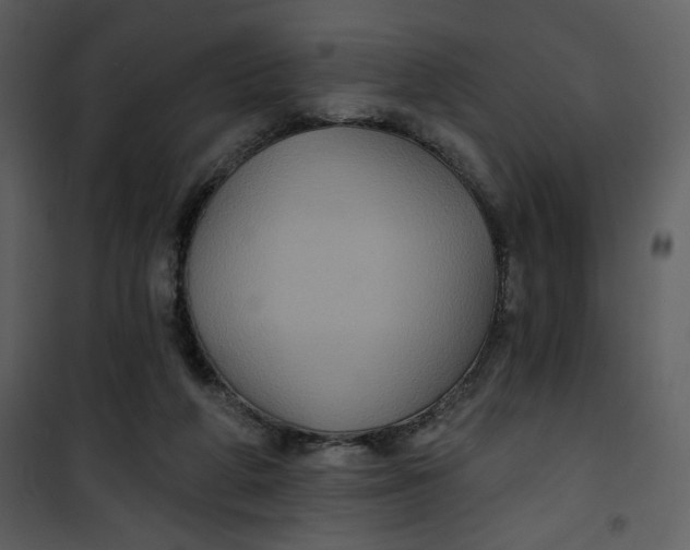 X0000101140210200807181302