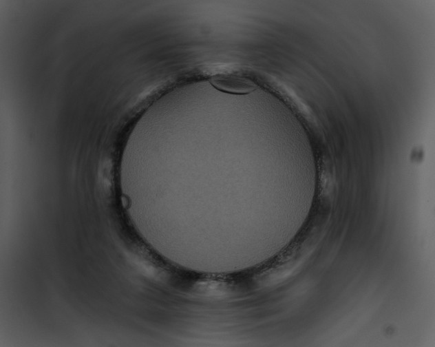 X0000101140211200807181302