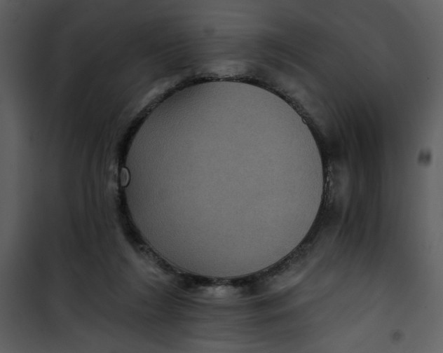 X0000101140212200807181302