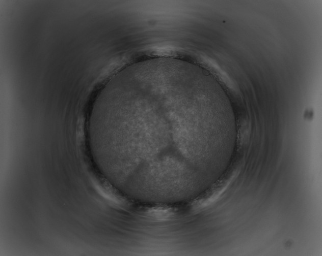 X0000101140213200807181302