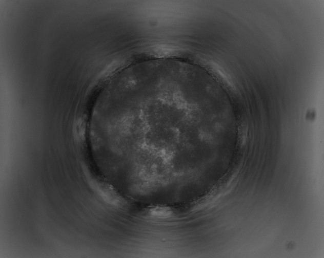 X0000101140214200807181302