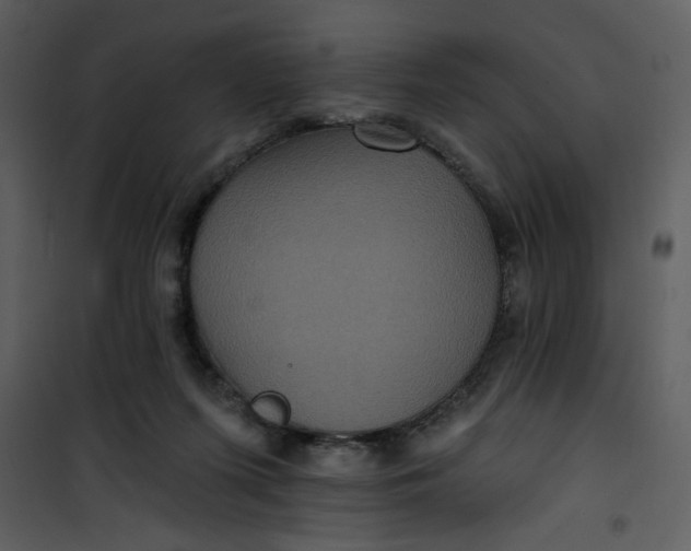 X0000101140215200807181302