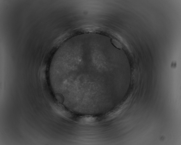 X0000101140217200807181302