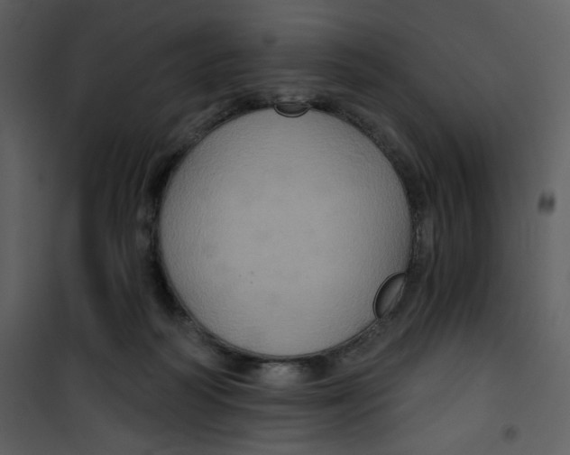 X0000101140218200807181302