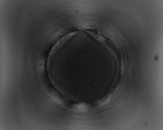 X0000101140219200807181302