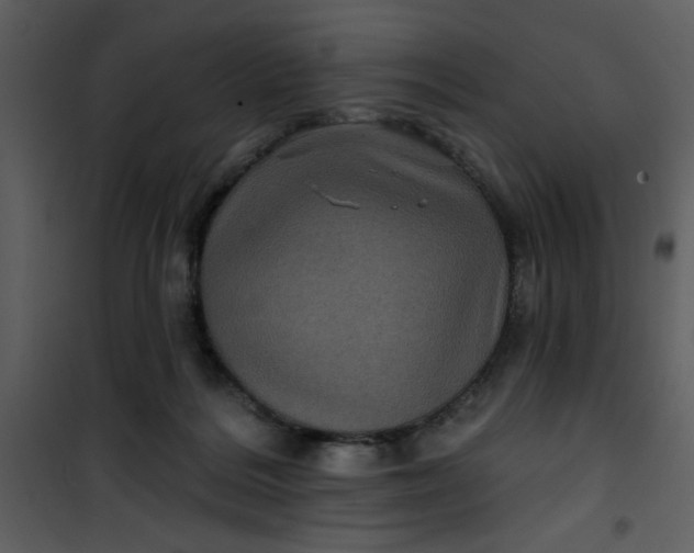 X0000101140220200807181302