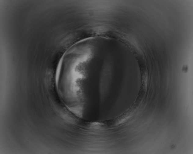 X0000101140222200807181302