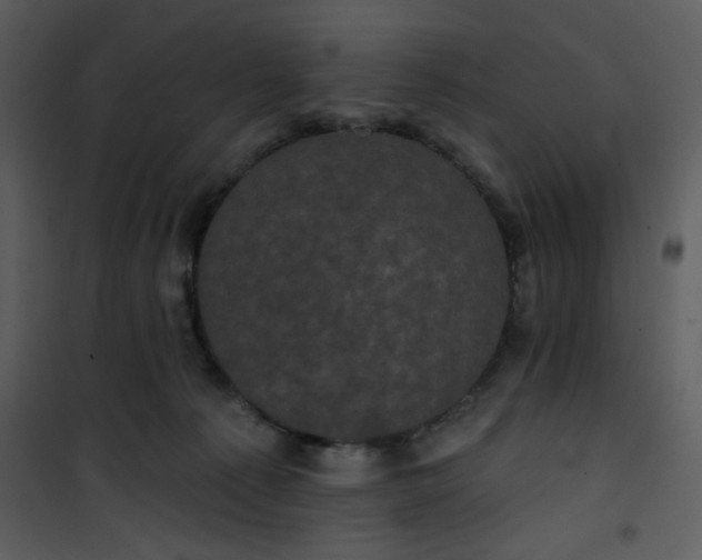 X0000101140225200807181302